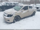 Toyota Corolla S/Le/Xle 2T1BU4EE7AC425022 снимка