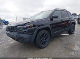 Jeep Cherokee Trailhawk 1C4PJMBN1LD640226 снимка
