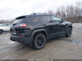 Jeep Cherokee Trailhawk 1C4PJMBN1LD640226 снимка