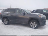 Toyota Rav4 Hybrid Xle 2T3RWRFV4RW235538 photo