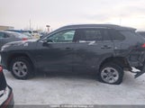 Toyota Rav4 Hybrid Xle 2T3RWRFV4RW235538 photo