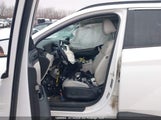 Hyundai Tucson Sel Convenience KM8JCCD19RU177065 fotografie