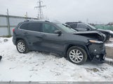 Jeep Cherokee Limited 1C4PJMDS8GW358906 снимка