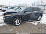Jeep Cherokee Limited 1C4PJMDS8GW358906 снимка