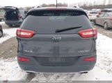 Jeep Cherokee Limited 1C4PJMDS8GW358906 снимка