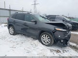 Jeep Cherokee Limited 1C4PJMDS8GW358906 снимка