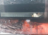 Subaru Impreza Premium JF1GJAD61DH012154 снимка
