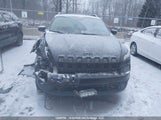 Jeep Cherokee North 1C4PJMCB3EW304699 fotografie
