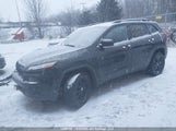 Jeep Cherokee North 1C4PJMCB3EW304699 снимка