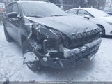 Jeep Cherokee North 1C4PJMCB3EW304699 fotografie