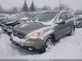 Honda Cr-V Lx 5J6RE48349L810073 снимка