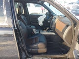 Ford Escape 1FMCU93148KB79827 снимка