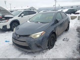 Toyota Corolla L/Le/Le Pls/Prm/S/S Pls 2T1BURHE1FC364119 fotografie