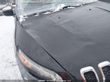 Jeep Cherokee 1C4PJMASXGW341657 снимка