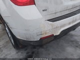 Chevrolet Equinox 2GNFLEEK9F6113543 снимка