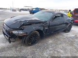 Ford Mustang Gt 1FA6P8CF7M5100793 снимка