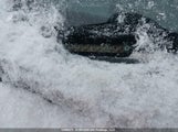 Honda Civic Sdn 2HGFA1E6XBH014272 снимка