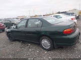 Chevrolet Malibu 1G1ND52J42M582802 снимка