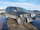 Honda Pilot Ex-L 5FNYF4H59BB502955 fotografie