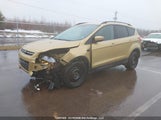 Ford Escape Se 1FMCU9GX2EUD82827 fotografie