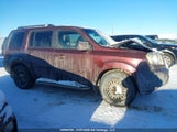 Honda Pilot Ex 5FNYF4H40AB502249 снимка