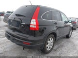 Honda Cr-V Lx 5J6RE4H36AL812847 photo