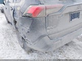 Toyota Rav4 Xle/Xle Premium 2T3R1RFV3MC148965 photo