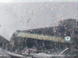 Honda Cr-V Lx 5J6RE48398L820600 photo