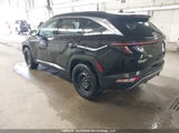 Hyundai Tucson Luxury KM8JCCA13PU114058 снимка
