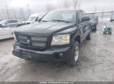 Dodge Dakota Sxt 1D7HE32K38S545104 fotografie