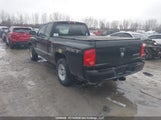 Dodge Dakota Sxt 1D7HE32K38S545104 fotografie