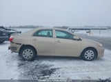 Toyota Corolla S/Le 2T1BU4EE8BC606762 снимка
