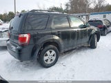 Ford Escape Xlt Automatic 1FMCU93709KA11561 снимка
