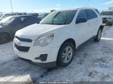 Chevrolet Equinox Ls 2GNFLEEK8E6100295 fotografie