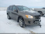 Toyota Rav4 2T3BF4DVXCW240029 photo