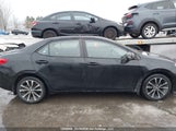 Toyota Corolla L/Le/Xle/Se/Xse 2T1BURHE5HC766244 photo