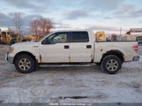 Ford F-150 1FTFW1EF9CFC64136 fotografie