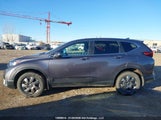 Honda Cr-V Lx 2HKRW2H28NH200349 photo