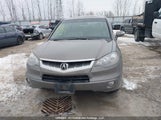 Acura Rdx Technology 5J8TB18598A803832 снимка