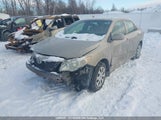 Toyota Corolla S/Le/Xle 2T1BU40E09C048553 снимка
