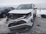 Toyota Rav4 Xle/Xle Premium 2T3R1RFV8SW517881 fotografie