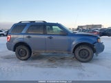Ford Escape 1FMCU93G89KB91713 снимка
