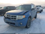 Ford Escape 1FMCU93G89KB91713 снимка