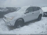 Toyota Rav4 JTMBD33V466019338 снимка