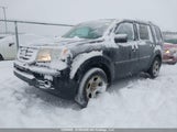 Honda Pilot Ex-L 5FNYF4H65FB501669 fotografie