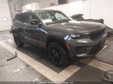 Jeep Grand Cherokee Laredo/Altitude 1C4RJHAG3R8514096 fotografie