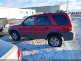 Ford Escape Xlt 1FMYU03187KA77768 снимка
