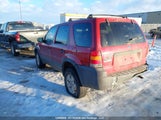 Ford Escape Xlt 1FMYU03187KA77768 снимка