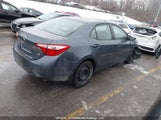 Toyota Corolla Le 2T1BURHE5FC391601 fotografie