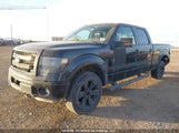Ford F150 Supercrew 1FTFW1EF0DFC22813 снимка